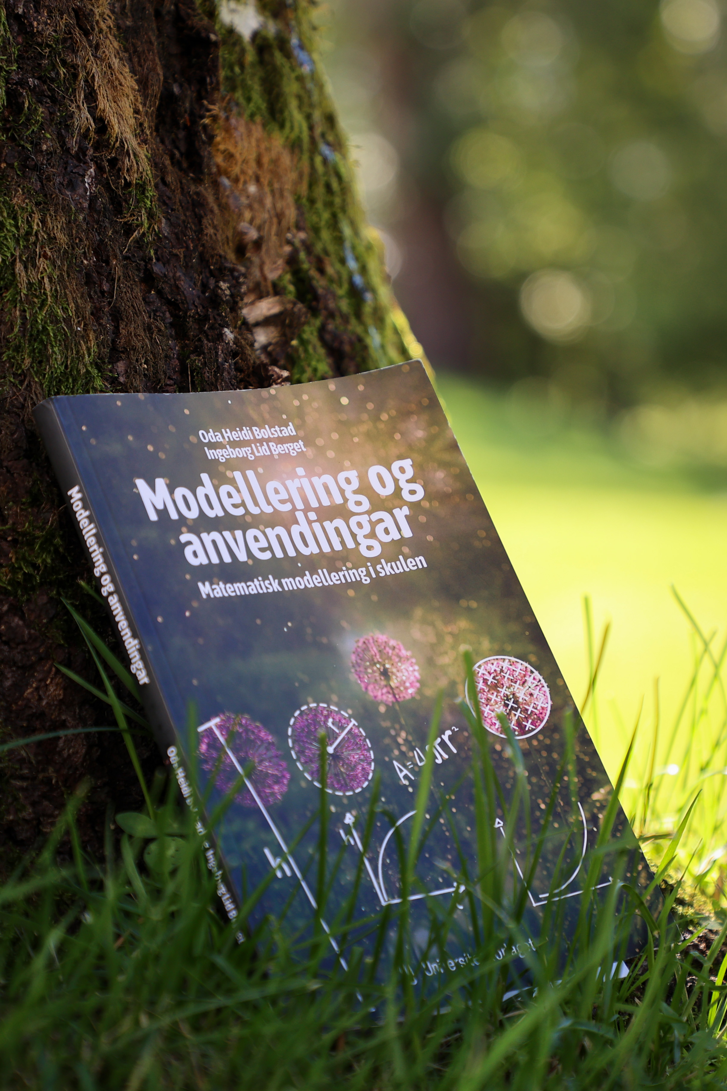 Bokomslag: Universitetsforlaget.