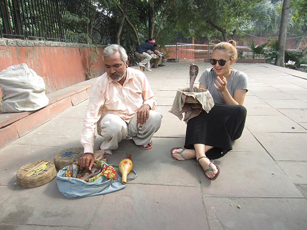 11fb44afd31974e0906ca55ad7ac4e15