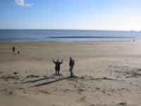 Swansea5_lav