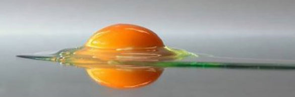 b4658b50f4aa82c70fb0ce0c61a140835ff93866