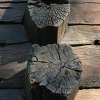 haualeitet-tommer-100