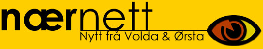 nernettlogo_520