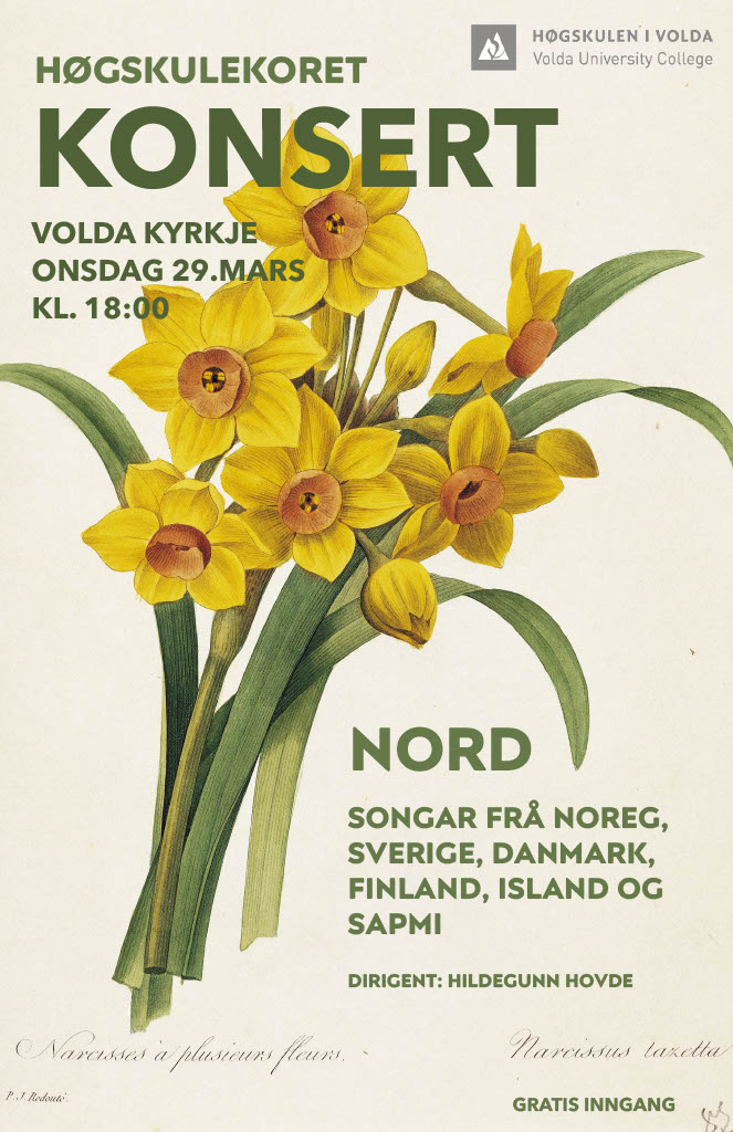 Velkomne til konsert med H&oslash;gskulekoret!