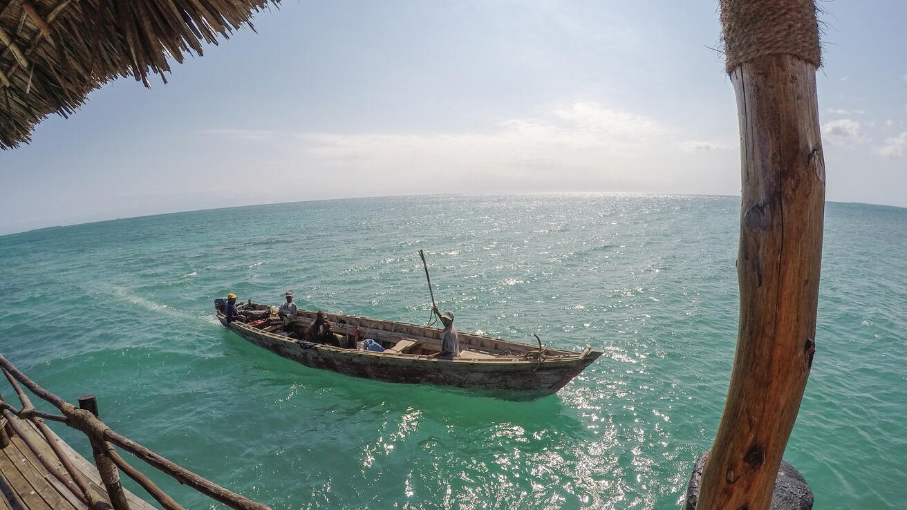 Utveksling på Zanzibar