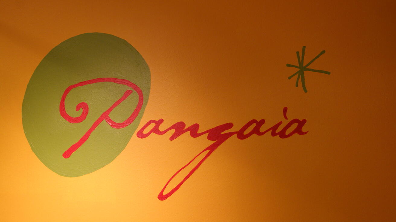 Pangaia_photo of the logo