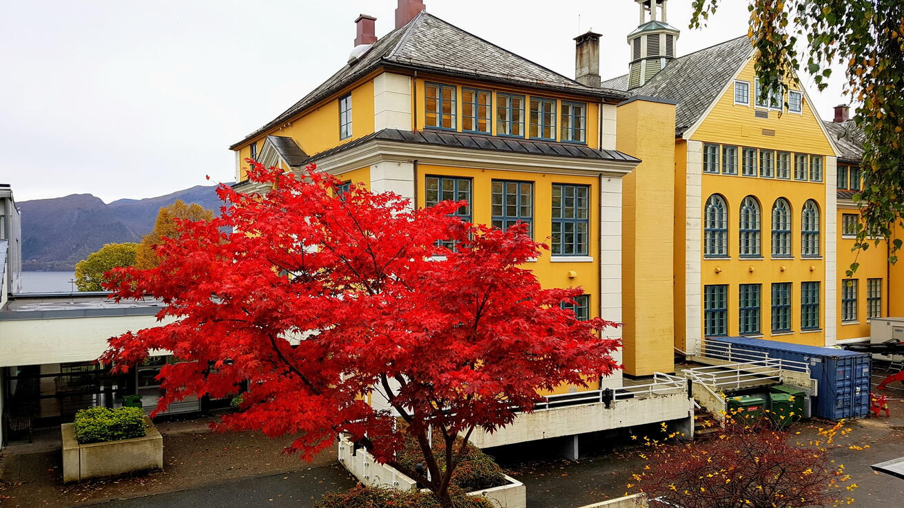 Henrik Kaarstad-huset