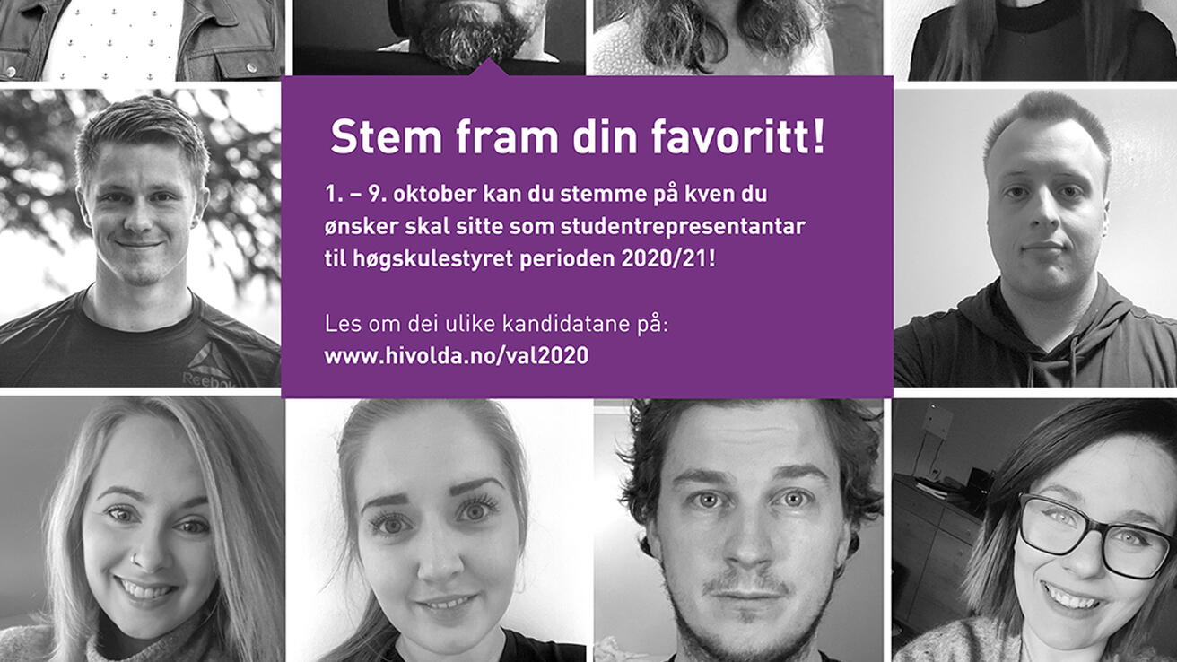 Val av studentrepresentantar til høgskulestyret 2020