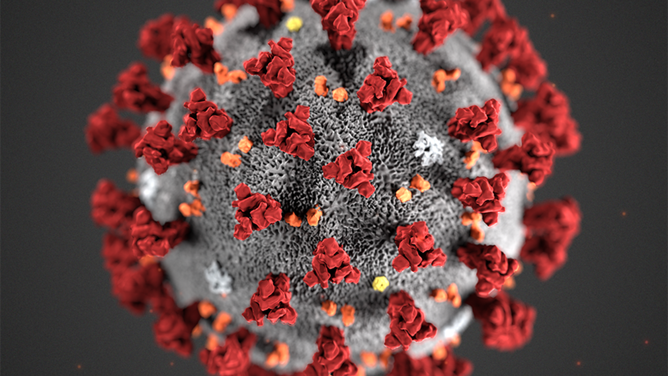 Covid-19 virus (image by FHI) Covid-19 virus (image by FHI)