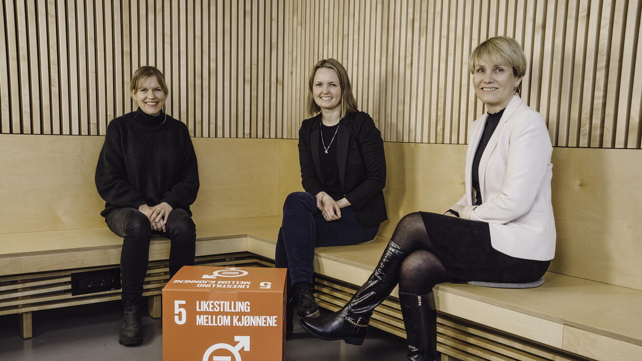 Wenche Torrissen, Silje L. Dahl, Siv T. M. Gamlem. Foto: Atle Remmereit
