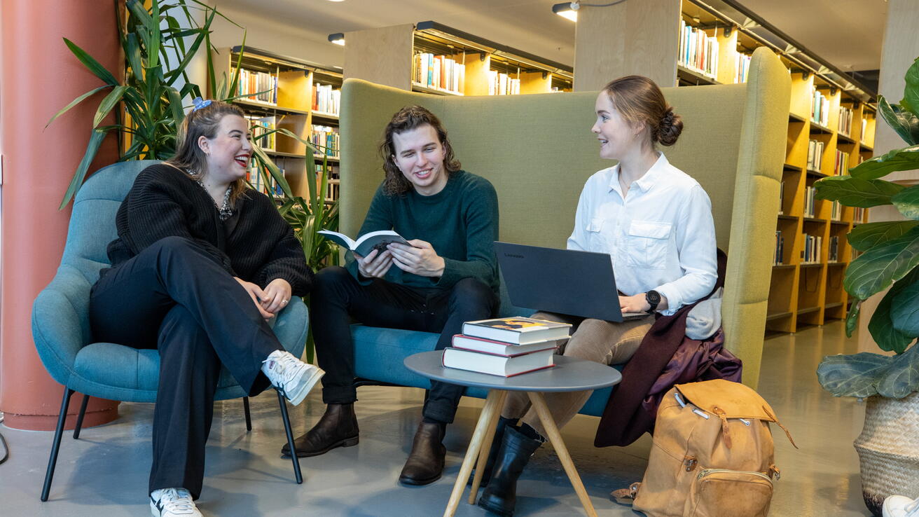 Studentar i biblioteket