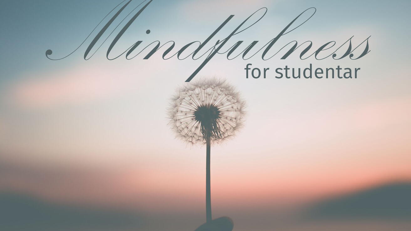 Gratis mindfulness-kurs