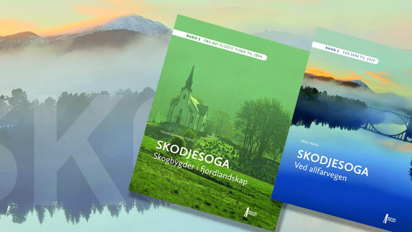 Skodjesoga