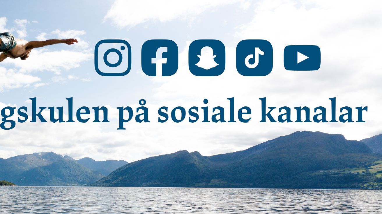 Høgskulen på sosiale kanalar