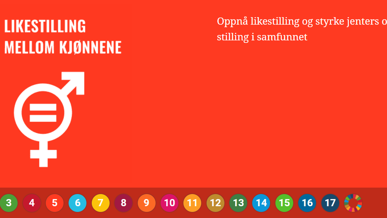 Berekraftsmål 5