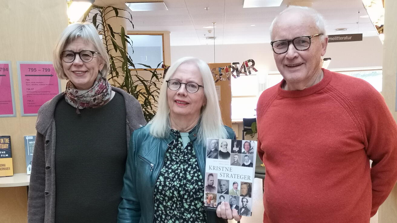 Tre forskarar ved Høgskulen i Volda