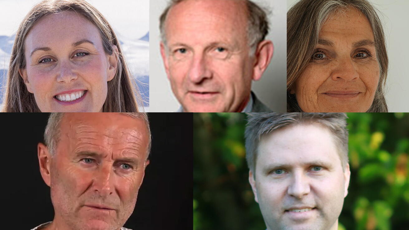 Artikkelforfatterne (øverst fra venstre): Thea Beate Brevik, Petter Laake, Solveig Karin Bø Vatnar, Stål Bjørkly og Kjartan Leer-Salvesen.