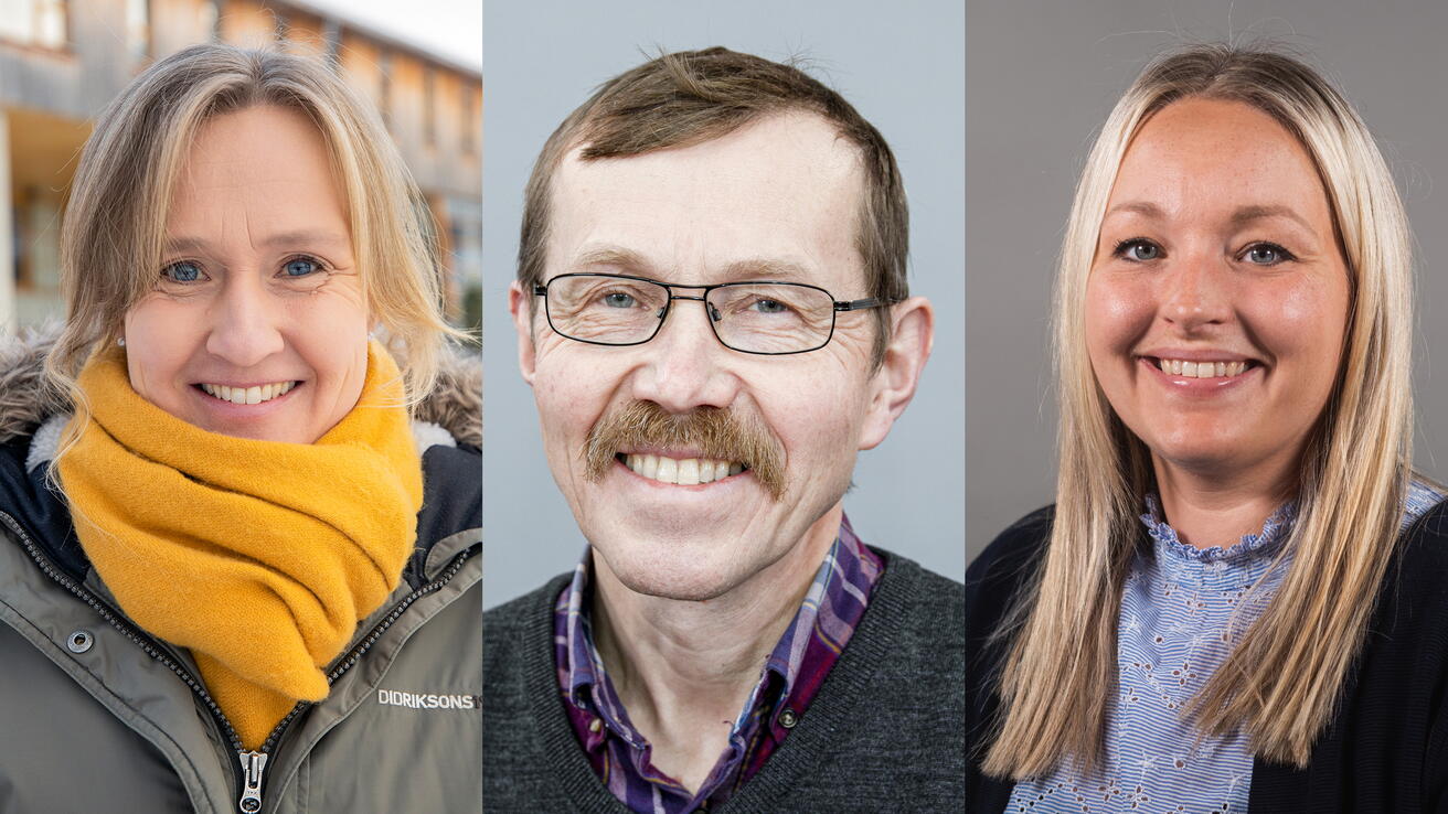 Ellen Lexerød Hovlid, Egil Arne Standal og Ingvild Sande Lillebø.