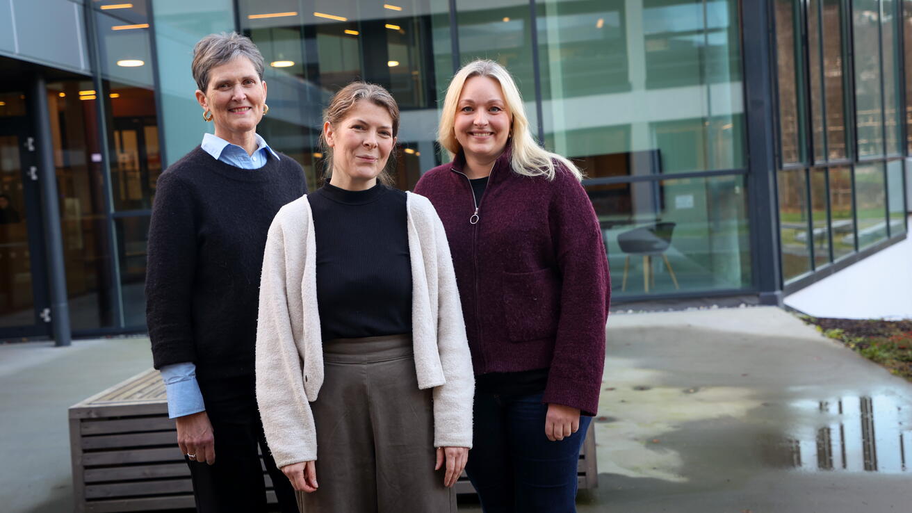 Randi Bergem, Ellen Strøm Synnevåg og Ingvild Sande Lillebø.