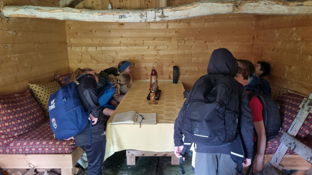Utforsking av felles-selet på Brekke.