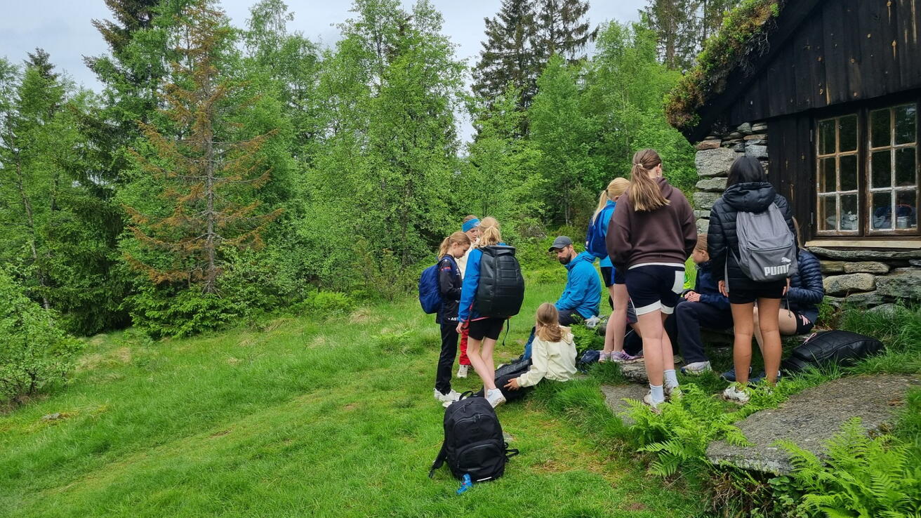 Elevar på setertur.